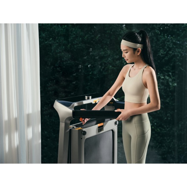 Фото - Беговая дорожка KingSmith WalkingPad Treadmill X218
